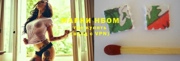ГАЛЛЮЦИНОГЕННЫЕ ГРИБЫ Туринск
