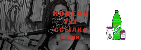 ГАЛЛЮЦИНОГЕННЫЕ ГРИБЫ Туринск