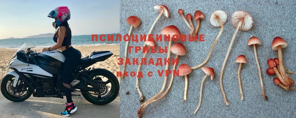ALPHA PVP Тында