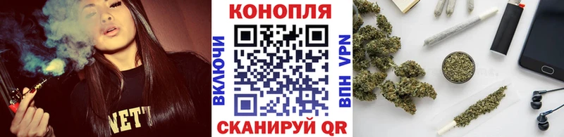 Купить  Волжск  Бошки Шишки ГИДРОПОН 